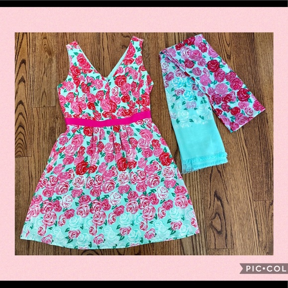 Vineyard Vines Dresses & Skirts - Size 8 Vineyard Vines Kentucky Derby Dress/Scarf